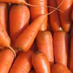 Морковь Каротель: описание сорта, характеристики, особенности выращивания