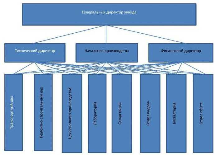 Функциональная организационная структура управления предприятием