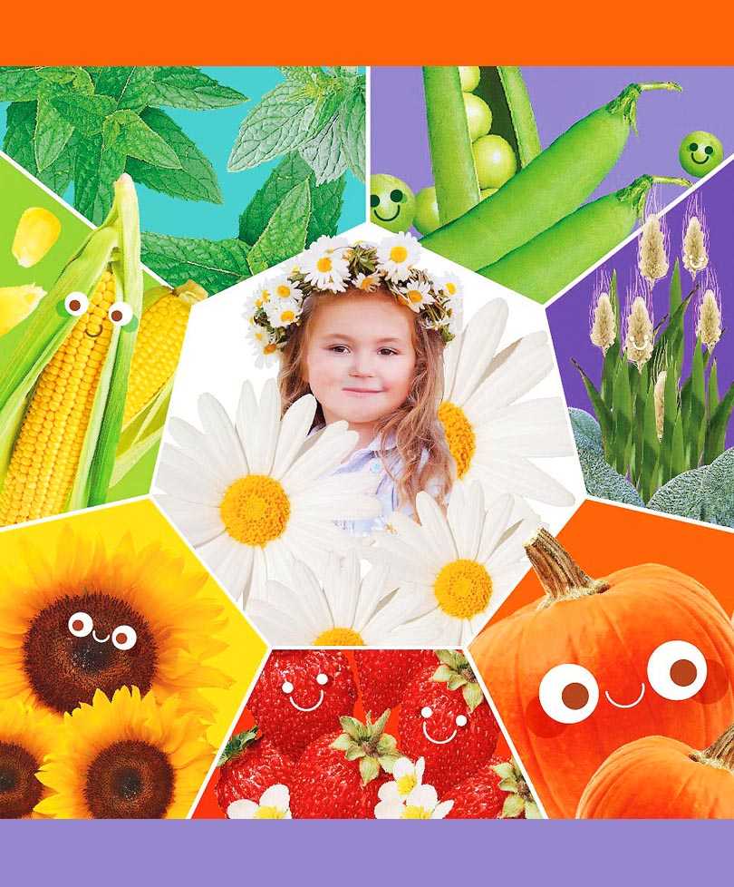 семена для детей сады россии