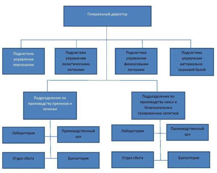 Дивизиональная организационная структура управления