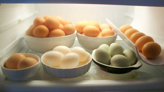 Температура хранения яиц