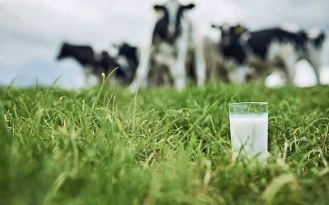 открытие молочной фермы