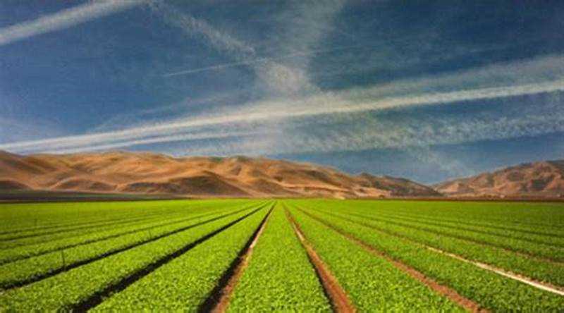 принципы оборота земель сельскохозяйственного назначения