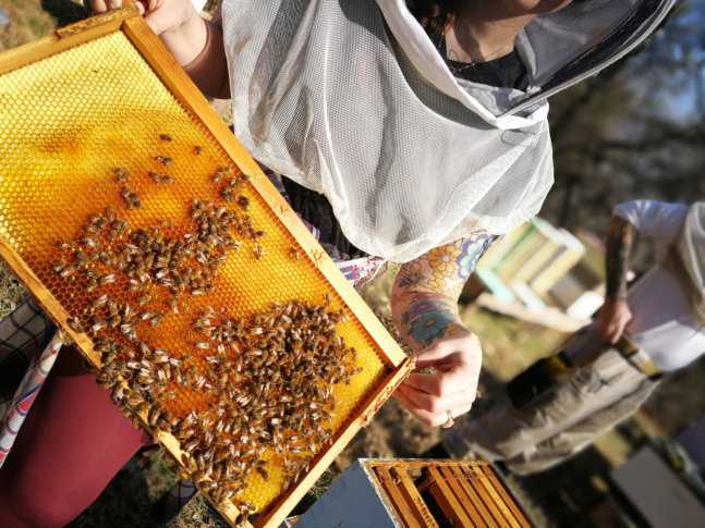 как сделать улей для пчел
