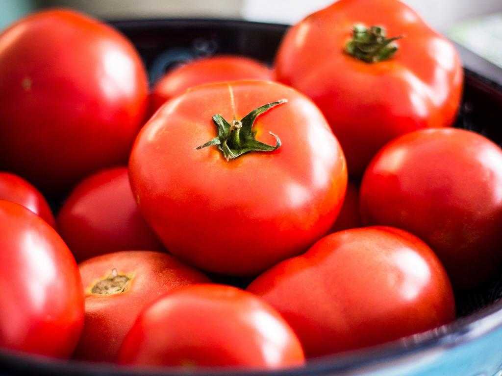сорт томатов верлиока отзывы
