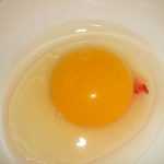 В курином яйце кровь: стоит ли употреблять в пищу, причины и методы решения проблемы