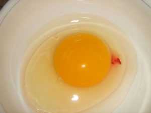 В курином яйце кровь: стоит ли употреблять в пищу, причины и методы решения проблемы