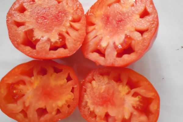 Мякоть томатов Безразмерных