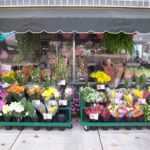 ❶ Как открыть свой цветочный магазин